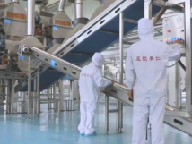 2025年的第一個月，承德亞歐果仁有限公司在山杏產(chǎn)業(yè)的道路上持續(xù)奮進(jìn)，展現(xiàn)出蓬勃的發(fā)展活力。